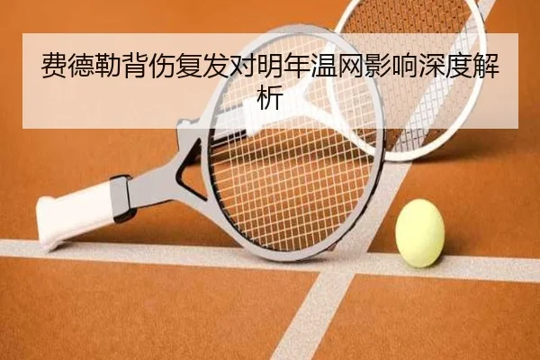费德勒背伤复发对明年温网影响深度解析